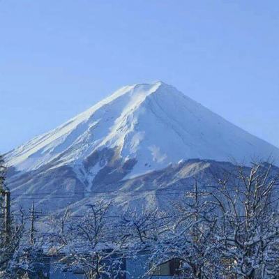 一剑断念渠道手游下载